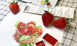 种草莓的视频,从播种到收获的视觉之旅