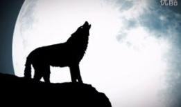 苍狼动漫,探索东方奇幻世界的奇幻之旅