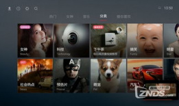 视频1,揭秘XX领域的创新突破与未来展望